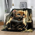 thumbnail image 1 of Couverture Ragdoll Chat Persan Calico Chat Garfield Couverture Douce pour Maison Chambre Lit Canapé Couverture Enfants, 1 of 7
