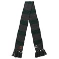 thumbnail image 2 of Harry Potter 800145 Harry Potter Slytherin Knitted Scarf, 2 of 3