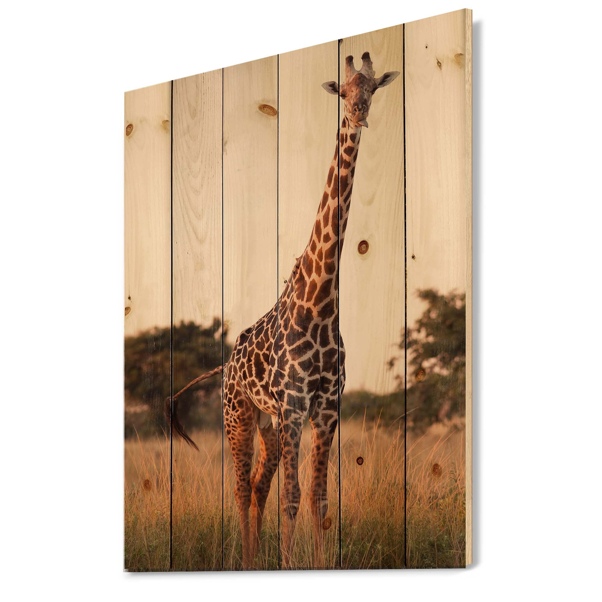Designart 'African Giraffe In The Wildlife I' Farmhouse Print on Natural Pine Wood