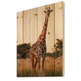 thumbnail image 2 of Designart 'African Giraffe In The Wildlife I' Farmhouse Print on Natural Pine Wood, 2 of 5