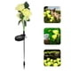 thumbnail image 4 of Outdoor Rose Flower Solar Luz de jardín Decoración de jardín Decorativo LED Adorno de luz, 4 of 6
