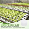 thumbnail image 7 of Uxcell 50-Pack Hydroponics Sponges, 1.57 Inch Growing Media Cylindrical Sponges for Planting Gardening Tool [White], 7 of 7
