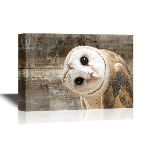 wall26 - Canvas Wall Art - Common Barn Owl (Tyto Albahead) Head Close Up - Gallery Wrap Modern Home Art | Ready to Hang - 16x24 inches