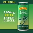 thumbnail image 6 of Reed's All Natural Real Ginger Ale, 12 fl oz, 4 Pack Box, 6 of 7