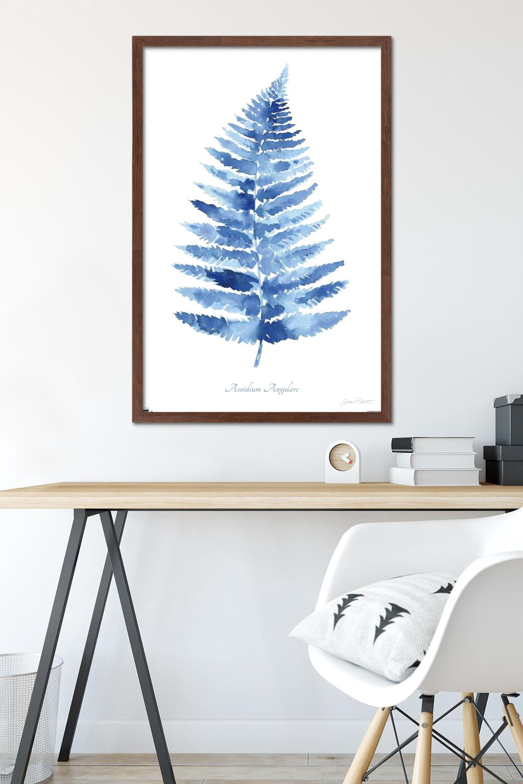 Jean Plout - Indigo Botanical Asoidium Angulare Wall Poster, 22.375" x 34" Framed