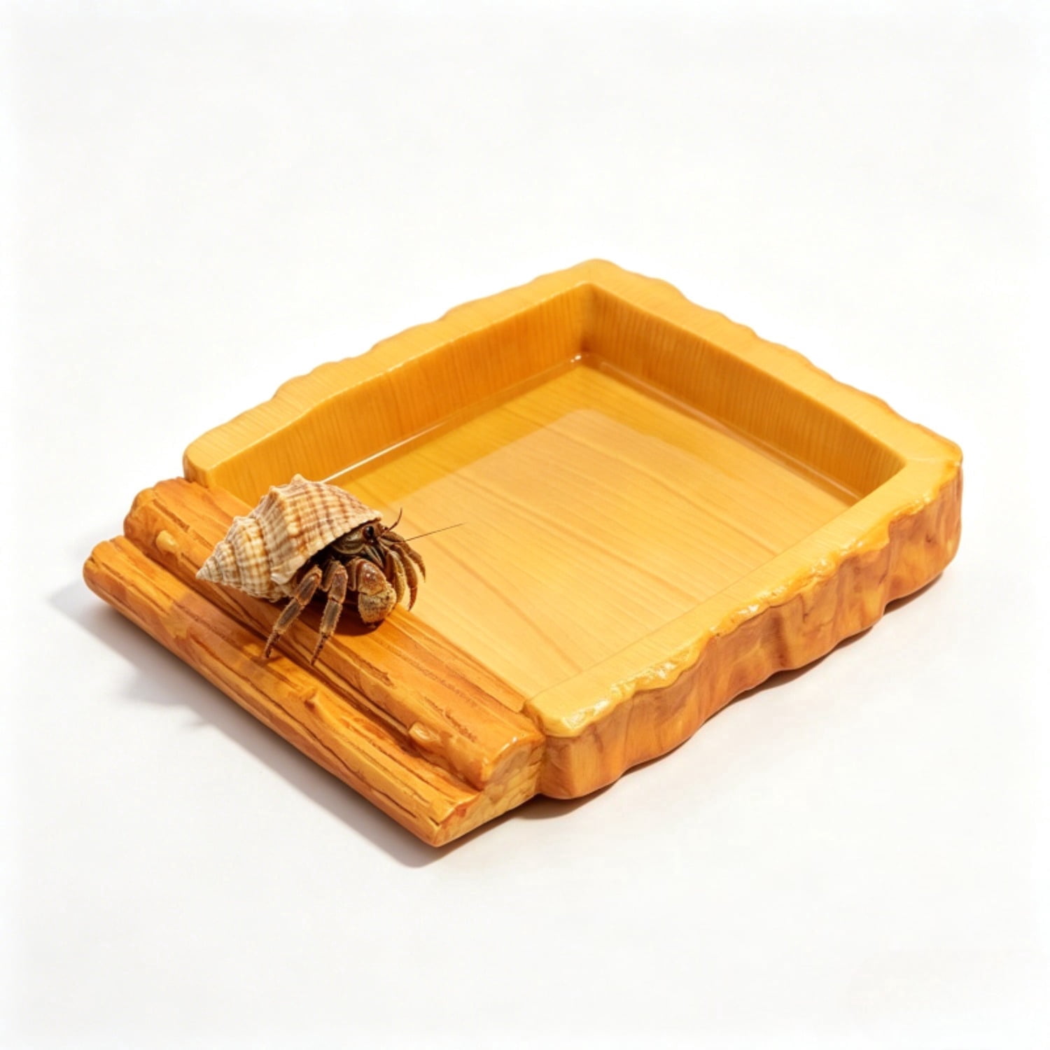 Hermit Crab Pool Water Bowl with Climbing Ramp for Reptile Tank Accessories