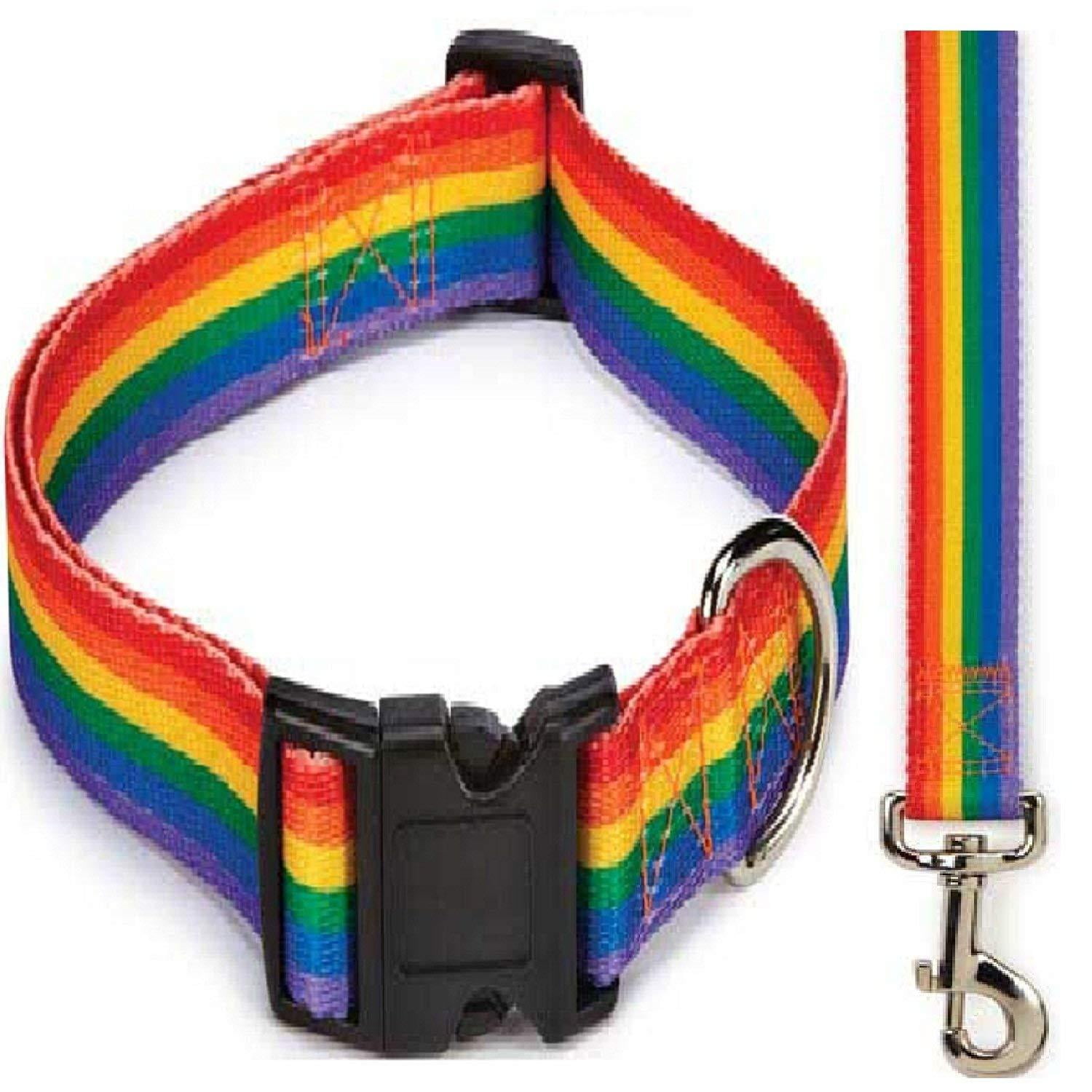 canine leashes and collars