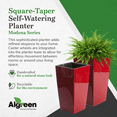thumbnail image 4 of Algreen Modena Pot de Jardinière Carré Auto-Arrosant Intérieur/extérieur 22 Pouces avec Roues, Rouge, 4 of 10