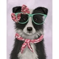 thumbnail image 2 of Fab Funky 26x32 White Modern Wood Framed Museum Art Print Titled - Border Collie, Black and White, with Glasses and Scarf, 2 of 4