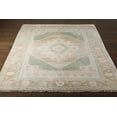 thumbnail image 2 of BoutiqueRugs Danao Traditional Area Rug - Beige, Sage, LightSage - 18" x 18" Sample, 2 of 10