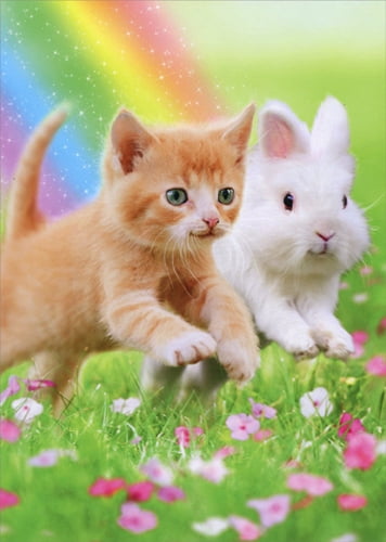 Kitten With Bunny Ears Cat Easter Card Greeting Card by Avanti Press