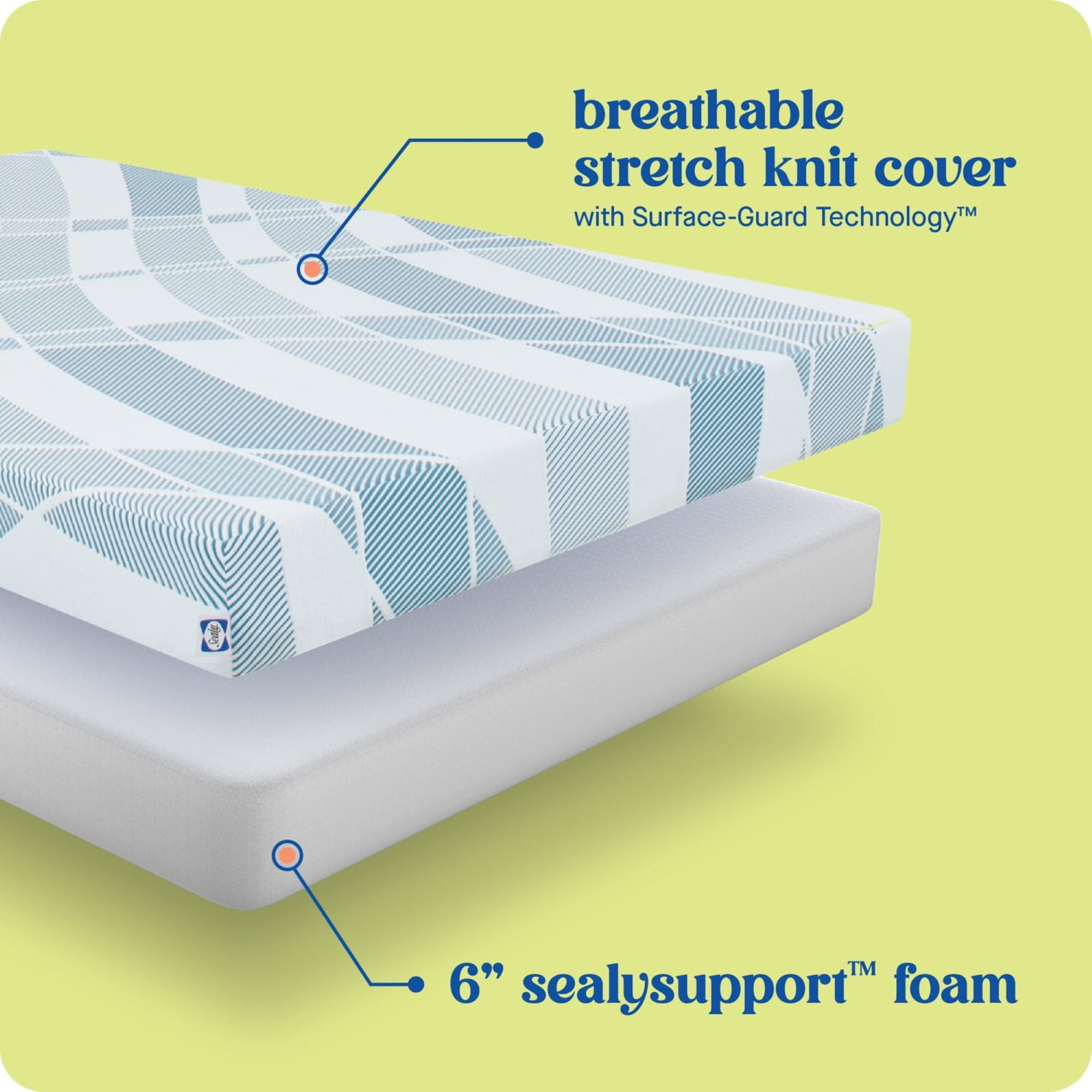 Sealy Dreamlife 6” Twin Gel Memory Foam Mattress-in-a-Box, Adult