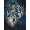 thumbnail image 1 of Evershine Full Square Diamond Painting Wolf Cross Stitch Kit Embroidery Animals Mosaic Sale Rhinestone Pictures Home DecorationFull Round 60X80cm Gao Jinjia LED, 1 of 2