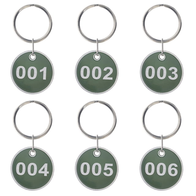 Aspire 20pcs Numbered Metal Rim Key Tag 1-20 with Key Rings, Numbered Tag Keychain for Sorting and Organizing - Green
