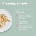 thumbnail image 3 of ATTITUDE Furry Friends, Shampoo, Soothing Oatmeal, Unscented, Pet care, Dog Shampoo, 473 mL, 3 of 6