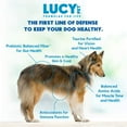 Lucy Pet Formulas for Life Salmon, Pumpkin, & Quinoa Dry Dog Food, All