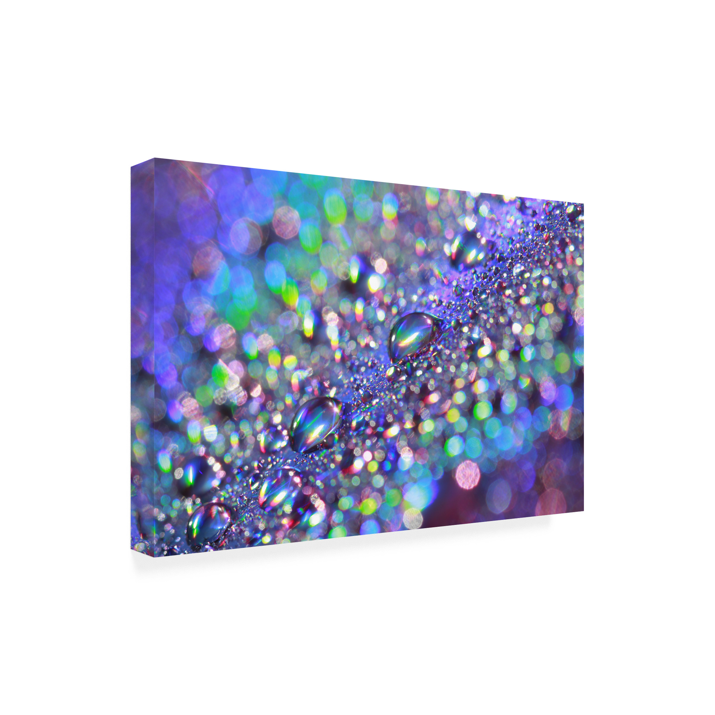 Trademark Fine Art "Colours of Rainbow" Canvas Art by Beata Czyzowska Young