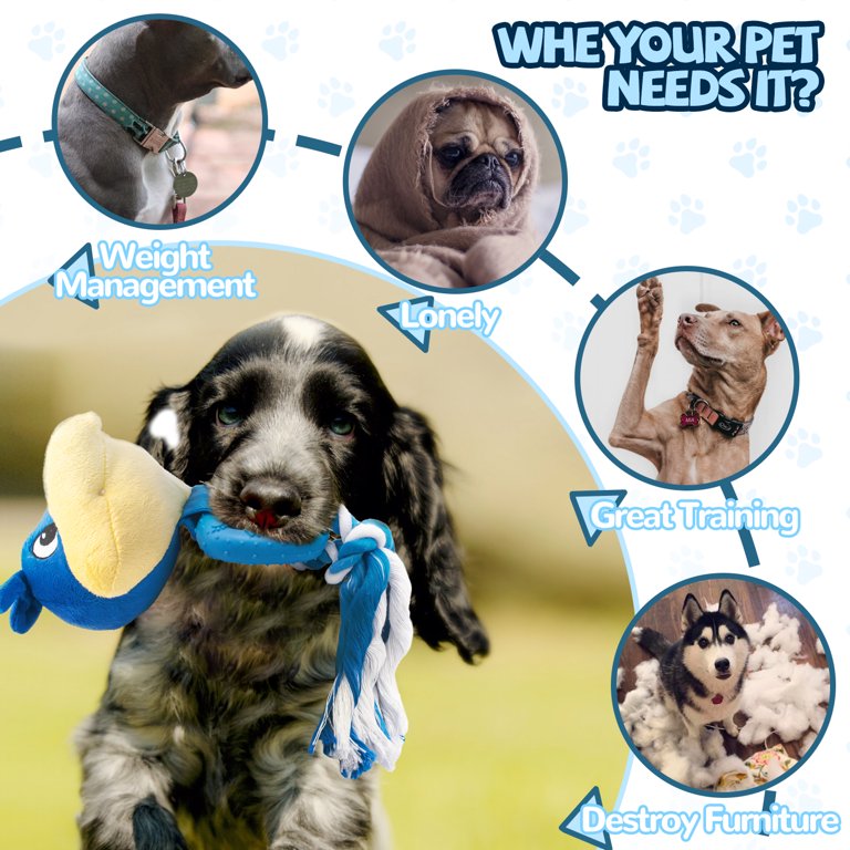 Stuffed Best Rubber Chew Toys For Dogs Amazon Tough Fanshionide