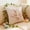 Beige, variant on Polyester Pillowcase for Bedroom, Soft Pillow Covers with Zipper Closure, Hypoallergenic Bedding for Adults, Queen King Standard Size Pillow Protectors, Luxury Hotel Collection Home Essentials