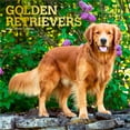 thumbnail image 1 of Golden Retrievers 2026 Carré DÉJOUER, 1 of 3