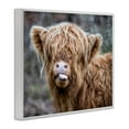 thumbnail image 2 of Stupell Industries Baby Highland Calf Cattle Licking Lips Country Farmland Photograph White Framed Art Print Wall Art, Design by James Dobson, 2 of 5