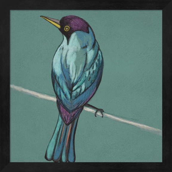 Winged Sketch I on Teal by Chariklia Zarris, Framed Wall Art, 13.25W x 13.25H