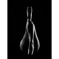 thumbnail image 3 of Carvalho, Jackson 19x24 Black Modern Framed Museum Art Print Titled - La Ballerina Poire, 3 of 5