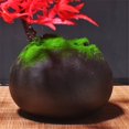 thumbnail image 4 of Simulación Bienvenido Belleza de Pino Adornos de Pino y Bonsái Hogar Sala de Estar Plantas en Maceta, 4 of 6