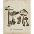 thumbnail image 3 of McCavitt, Naomi 20x24 Black Modern Framed Museum Art Print Titled - Les Champignons II, 3 of 5