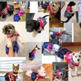 thumbnail image 5 of Disfraz de perro, colgante de nudo tradicional coreano, ropa bordada de seda para mascotas, vestido de Color para cachorros pequeños y gatos grandes, 5 of 5