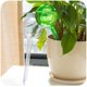 thumbnail image 4 of 6 piezas dispositivo de riego automático globos vacaciones planta de interior maceta bombillas jardín bebedero flor agua goteo dispositivo de riego sistema de riego automático, 4 of 5