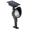 Flood Light