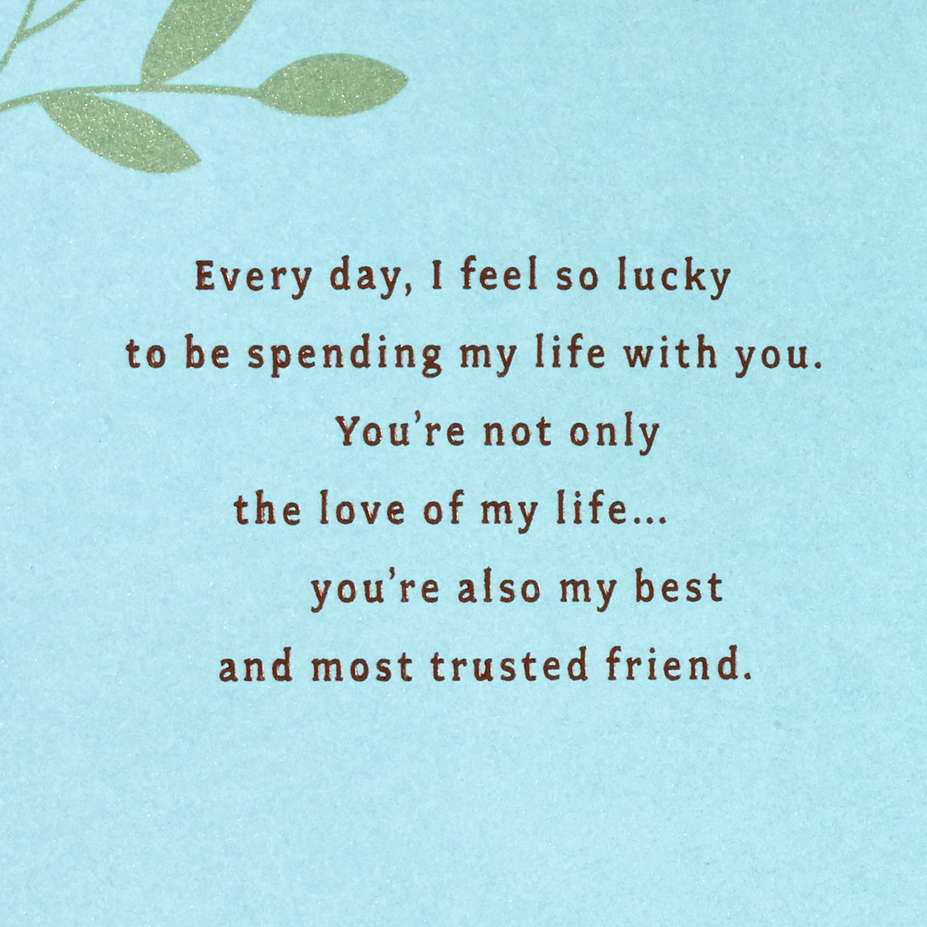 Hallmark Romantic Anniversary Card for Spouse (Filling My Days with Happiness)