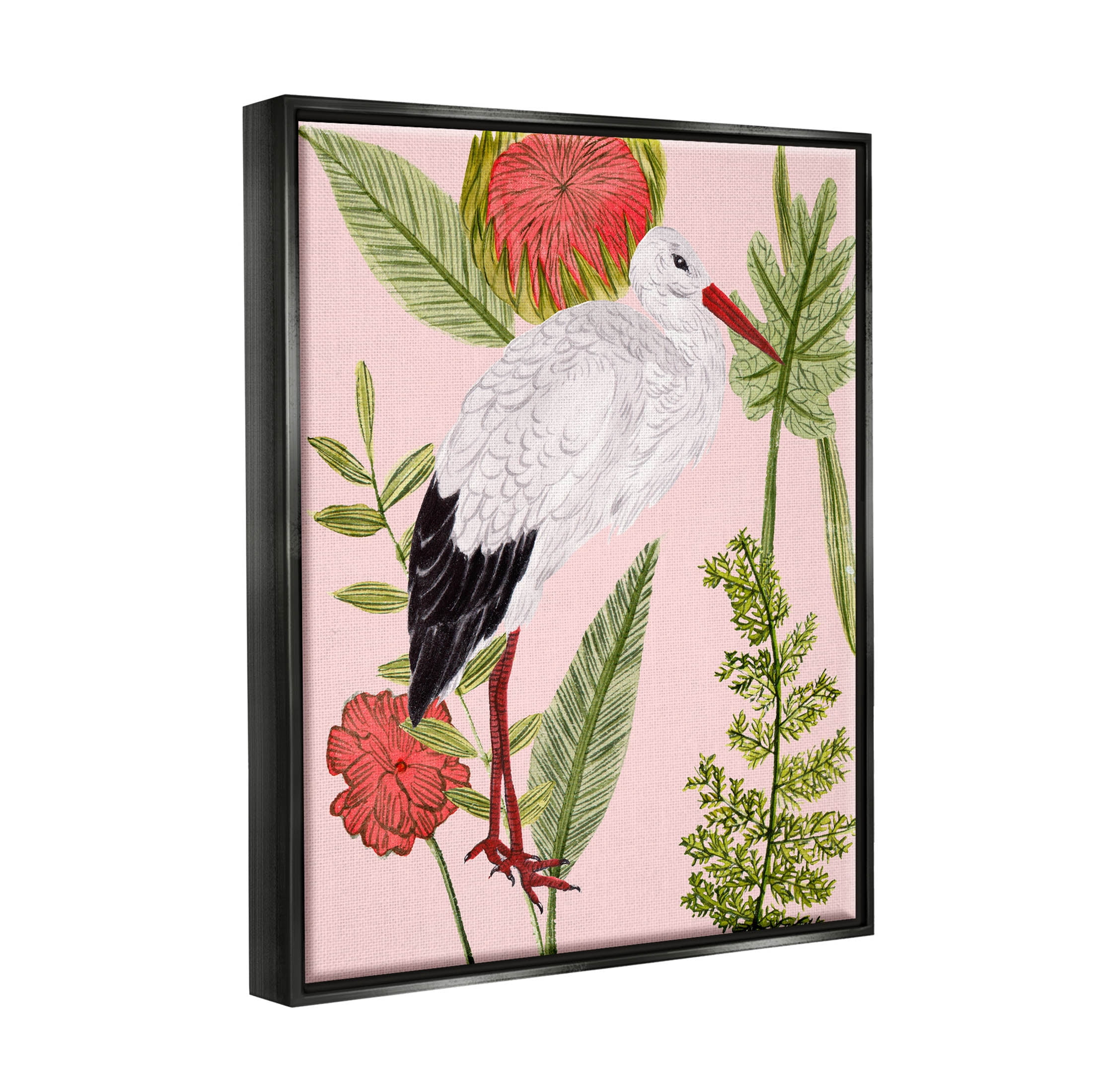 Stupell Industries Pink Varied Botanical Bird Graphic Art Jet Black Floating Framed Canvas Print Wall Art, Design by Melissa Wang