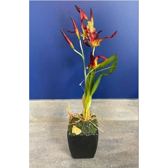 Wine Red Spider Orchid 19in Artificial Polysilk Faux Fake Flower Arrangement in Black Pot for Craft Bouquet Arrangement Ceremony Wedding Arch Floral Wall Aisle Decor (Burgundy, One each)
