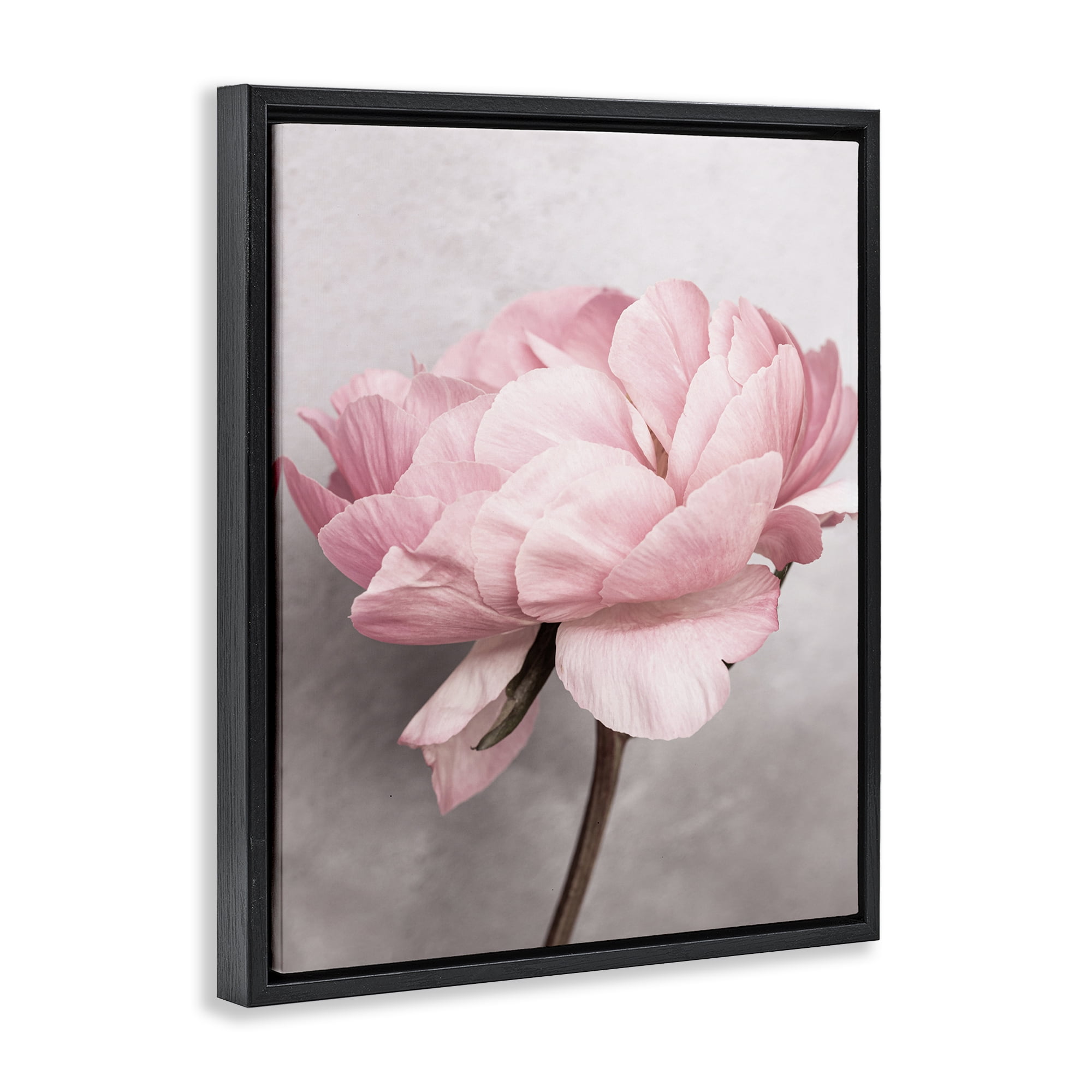 Stupell Industries Blooming Vintage Peony Plants & Flowers Painting Black Floater Framed Canvas Art Print Wall Art, 17 x 21
