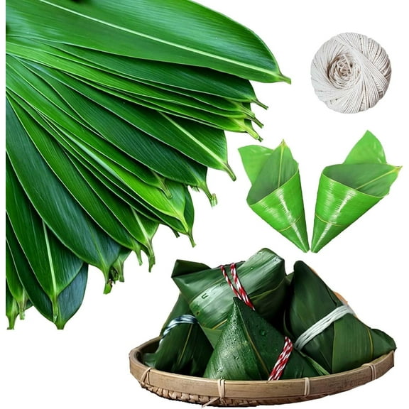 GIXUSIL 100 Pcs Fresh Banana Leaves(13.5 in L x 3.2 in W )，Sushi Bamboo Leaf，Fresh Banana Leaves for Cooking ，Bamboo Leaves suit Sushi making, Zongzi, Chinese Dinner, Hot Pot Leaf Decoration, Green