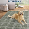 thumbnail image 4 of Checkered 5x7 Rugs for Living Room, Washable Indoor Modern Soft Non Slip Area Rug for Bedroom Nursery, Geometric Minimalist Low Pile Large Throw Carpet for Office Home Decor, Green, 4 of 7