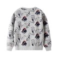 thumbnail image 2 of Toddler Boy Crewneck Sweatshirt Spring Cartoon Dinosaur Simple Kid Long-Sleeved for 2-7T, 2 of 5