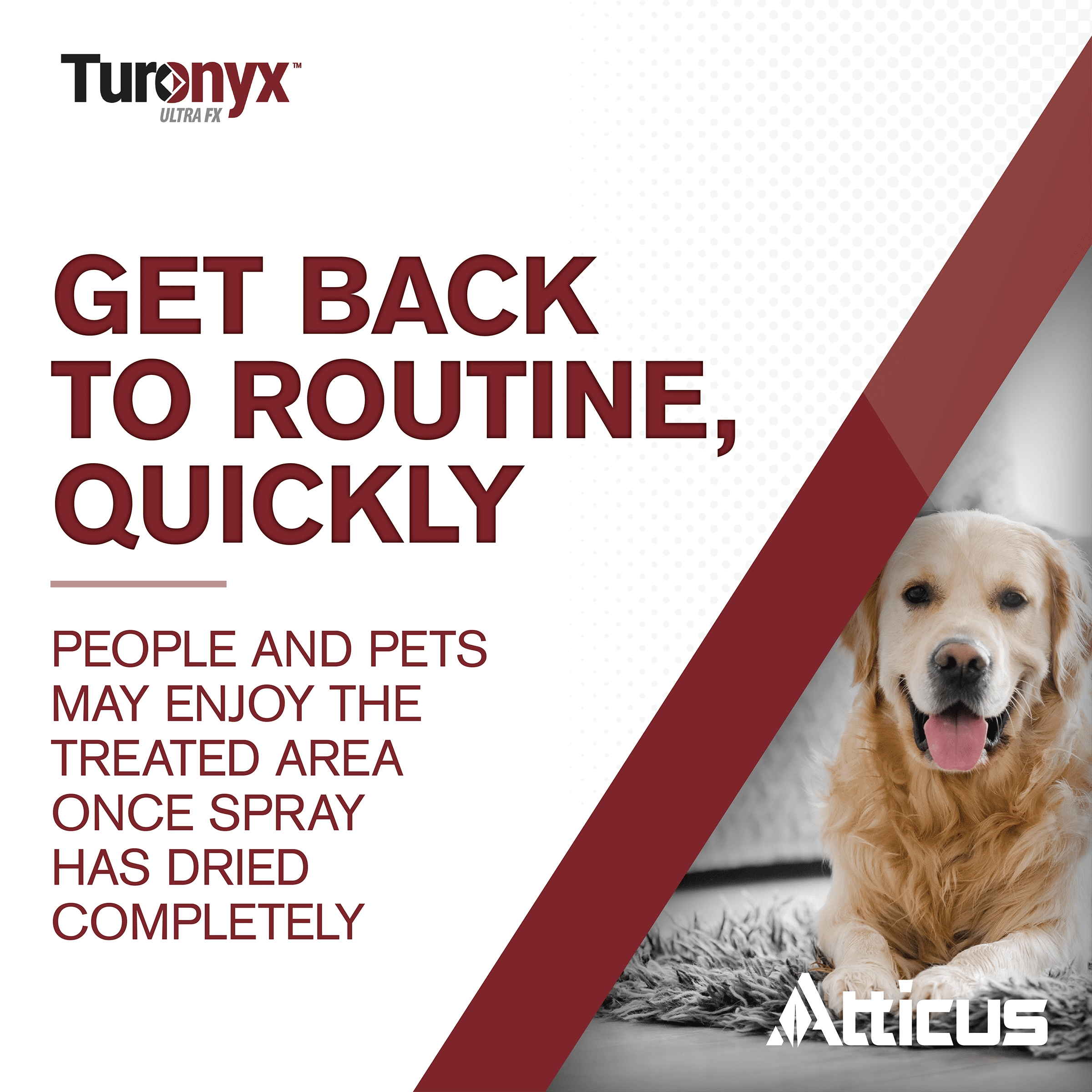 Turonyx Ultra FX Insecticide (240 mL) – (Compare to Temprid FX) – Pest Control for Indoor and Outdoor Use – by Atticus