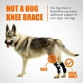 thumbnail image 3 of NeoAlly Dog Braces for Back Legs Dual Metal Spring Strips Super Supportive to Stabilize Both Legs, Help Dogs with Injuries Sprains Arthritis ACL CCL (X-Small Pair), 3 of 10