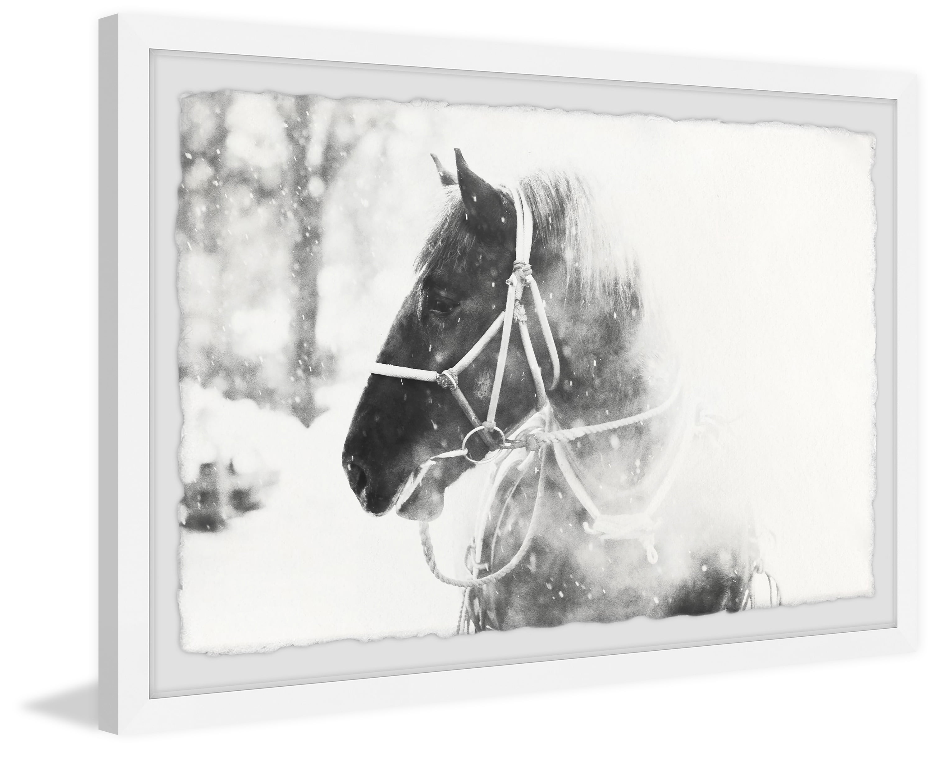 Marmont Hill Cold Breath Framed Wall Art, 20" x 30"