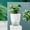 white, variant on HLONK 6 Inch 4 Inch Self Watering Planter White Terracotta Clay Pots with Glass Reservoir for Indoor Plants Herbs Flowers White Extra Large