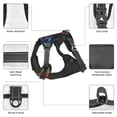 thumbnail image 6 of Lsque Red And Blue Fire Bird Dog Harness, No-Pull Pet Harness with 2 Leash Clips, Adjustable Soft Padded Dog Vest with Easy Control Handle for Large Dogs-Medium, 6 of 9