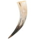 thumbnail image 4 of WORGEOUS Hogar retro Bull Horn Inserted Vase amarillo Bull Horn Pornón Mundial Cuerno de adorno colgante de unos 40-48 cm, 4 of 9