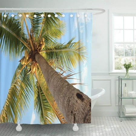 ARTJIA Coconut Very Tall Florida Palm Tree Coconuts Gulf Coast Tropical Vacation Polyester Shower Curtain Bathroom Decor 66x72