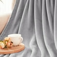 thumbnail image 6 of Exclusivo Mezcla Large Flannel Fleece Velvet Plush Throw Blanket - 50" x 70" (Light Grey), 6 of 7