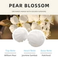thumbnail image 4 of Wet Dry Vacuum Air Freshener Beads Spare Part Accessories Plastic for Floor, 4 of 8