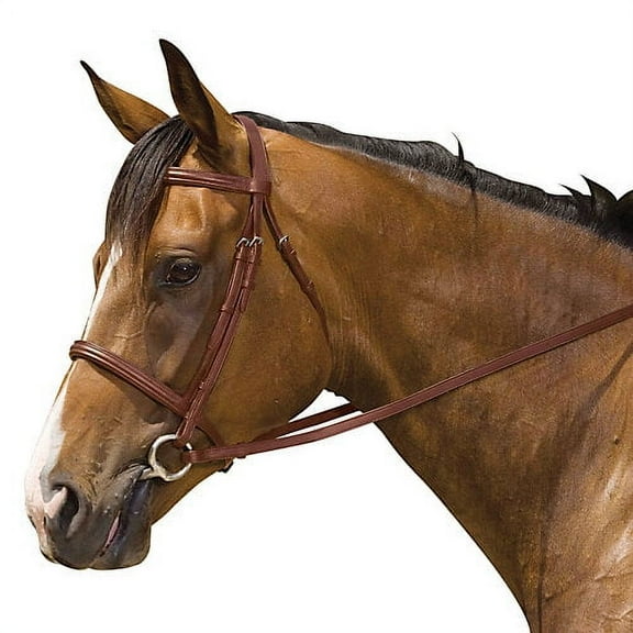 Kincade Padded Plain Raised Bridle Warmblood