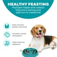 thumbnail image 3 of Outward Hound Slow Fun Feeder Bowl, Slow Feeder Dog Bowl, Turquoise, Medium/Small, 3 of 8